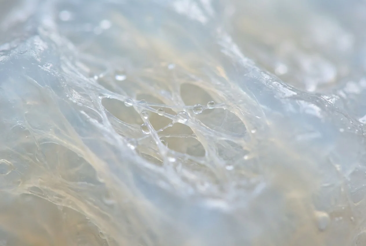 Naturally occurring chondroitin inside Ovomet