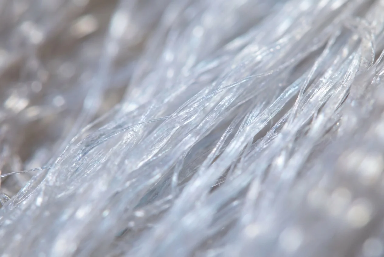 Type V collagen inside Ovomet