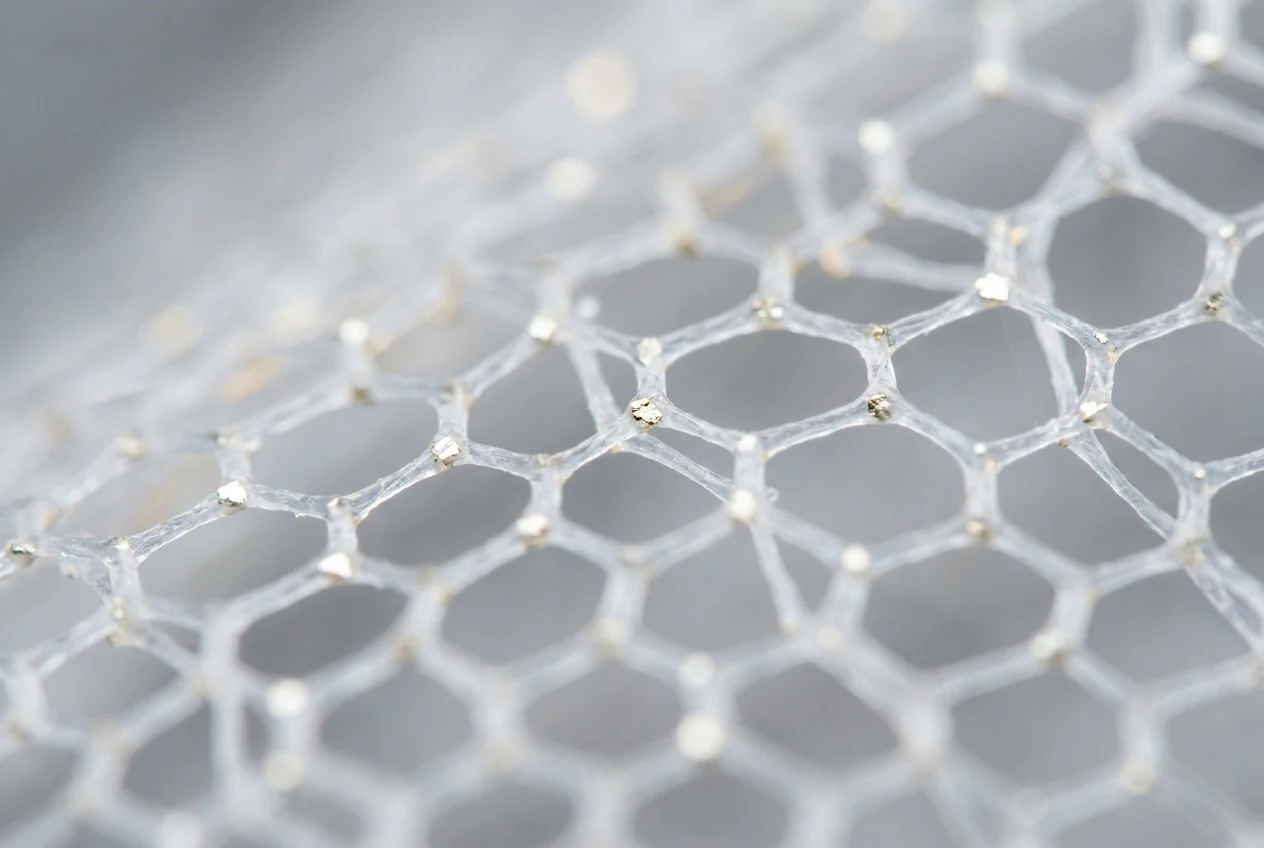 Type X collagen inside Ovomet